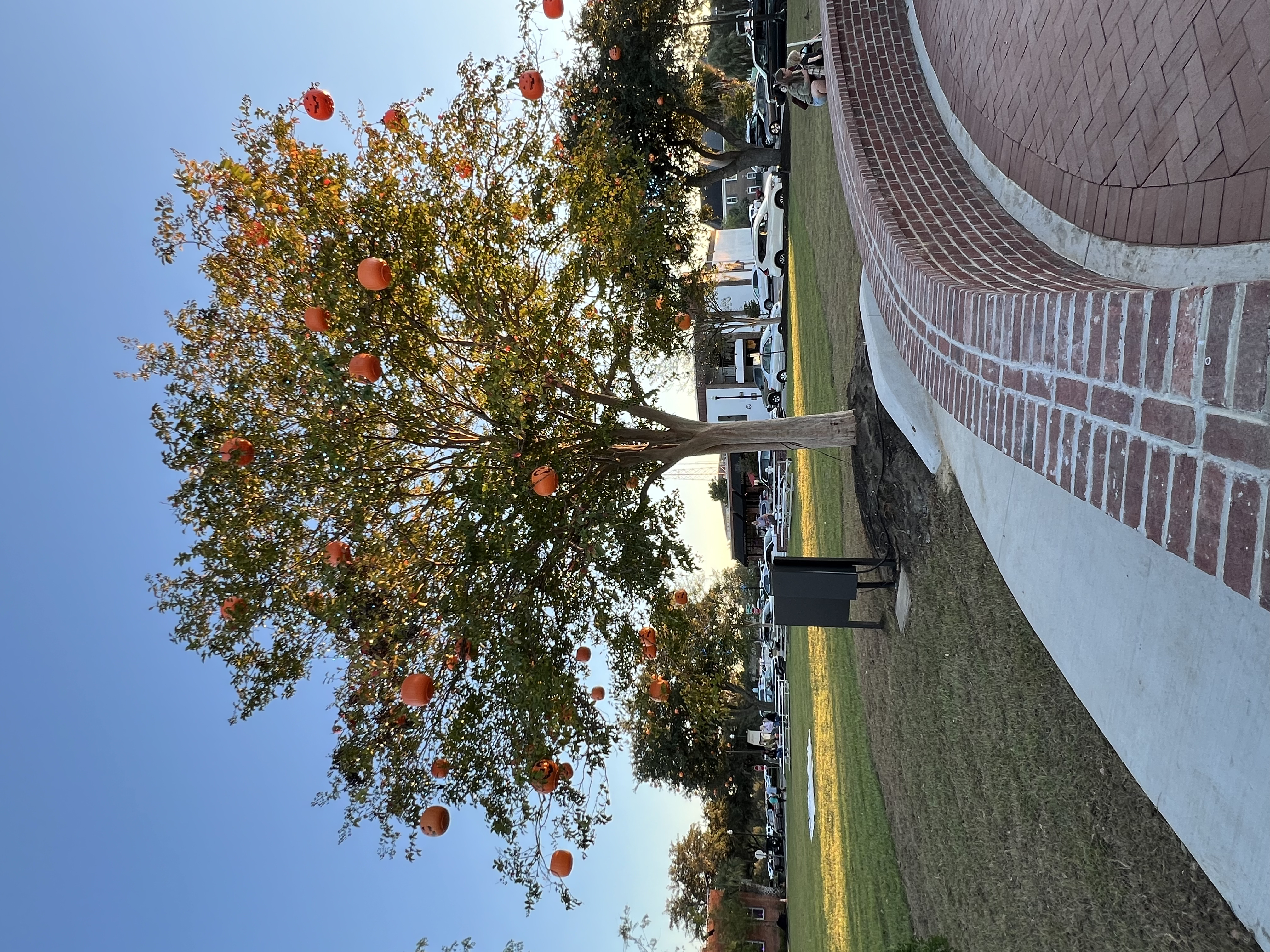 ./2024/10 - Myrtle Beach/IMG_3328.jpg